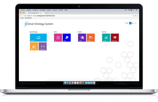 Decision-making system with user friendly interface